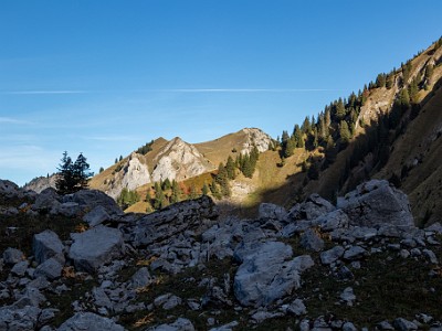 DCCG1X-20261005-2785
