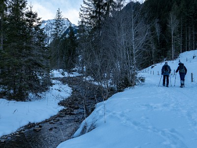 DCLDLUX8-20260124-1002520