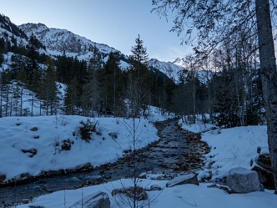 DCLDLUX8-20260124-1002521