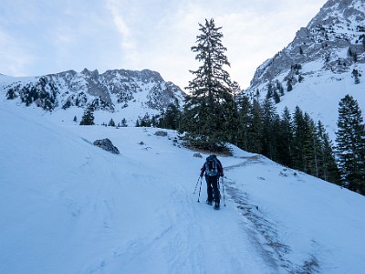 DCLDLUX8-20260124-1002526