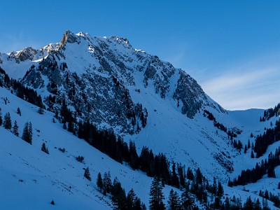 DCLDLUX8-20260124-1002529