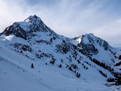 DCLDLUX8-20260124-1002530