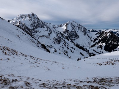 DCLDLUX8-20260124-1002531