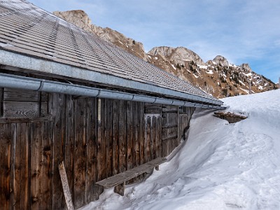 DCLDLUX8-20260124-1002534