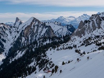 DCLDLUX8-20260124-1002537