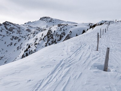 DCLDLUX8-20260124-1002540