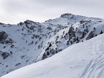 DCLDLUX8-20260124-1002541