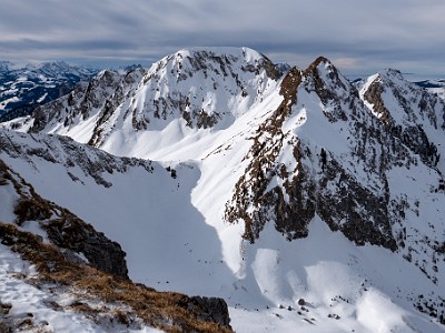 DCLDLUX8-20260124-1002542