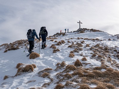 DCLDLUX8-20260124-1002543