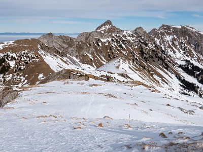 DCLDLUX8-20260124-1002544