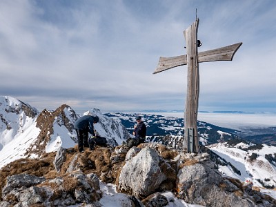 DCLDLUX8-20260124-1002545