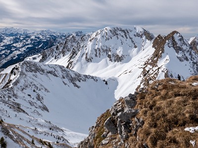 DCLDLUX8-20260124-1002546