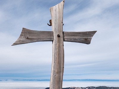 DCLDLUX8-20260124-1002547