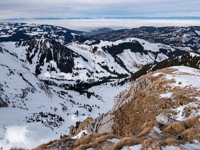 DCLDLUX8-20260124-1002550