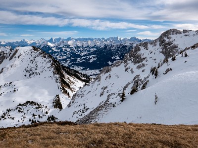 DCLDLUX8-20260124-1002552