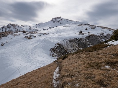 DCLDLUX8-20260124-1002553