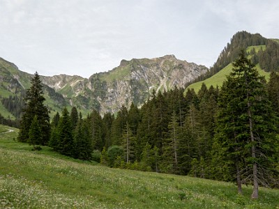 DCCG1X-20260616-2314