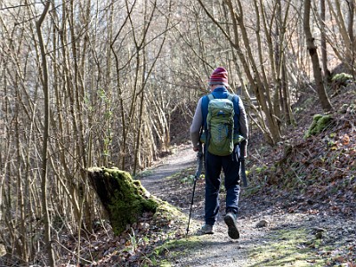 DCLDLUX8-20260317-1002611