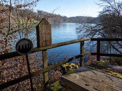 DCLDLUX8-20260317-1002612