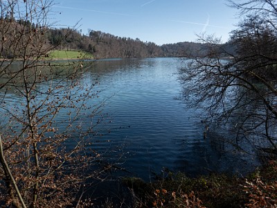 DCLDLUX8-20260317-1002613