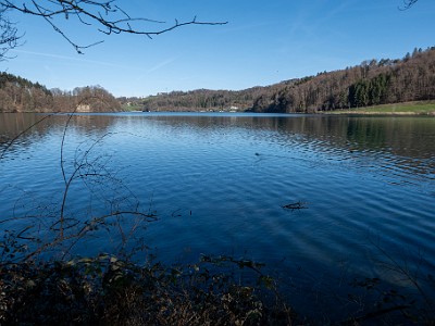 DCLDLUX8-20260317-1002614