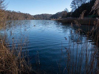 DCLDLUX8-20260317-1002615