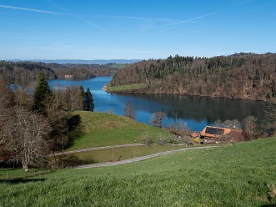 DCLDLUX8-20260317-1002617