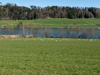 DCLDLUX8-20260317-1002618