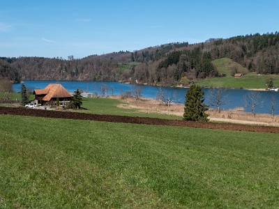 DCLDLUX8-20260317-1002619