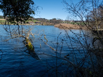 Wohlenseeumrundung (2026-03-17)