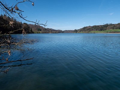 DCLDLUX8-20260317-1002621