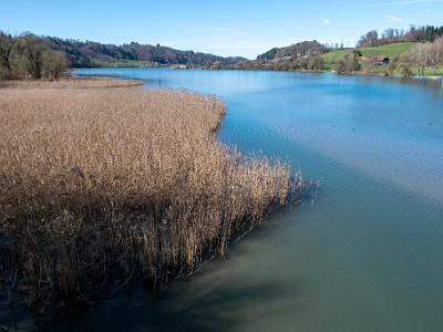 DCLDLUX8-20260317-1002623