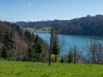 DCLDLUX8-20260317-1002624