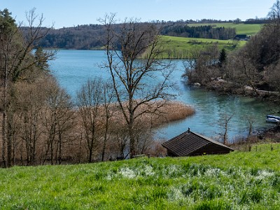 DCLDLUX8-20260317-1002625