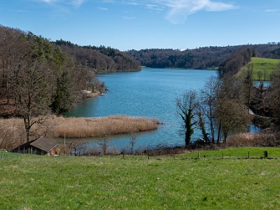 DCLDLUX8-20260317-1002626